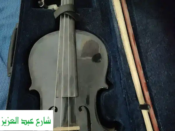 violin