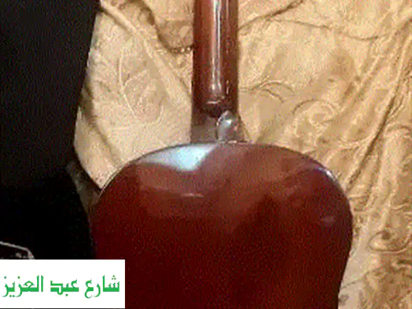 ٢)يجيتار  ماركة المانى