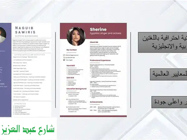 تصميم سيرة ذاتية (CV  Resume) احترافية باللغتين العربي...