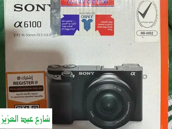 Sony Alpha a6100 Mirrorless Digital Camera 4 K with 1650 mm Lens