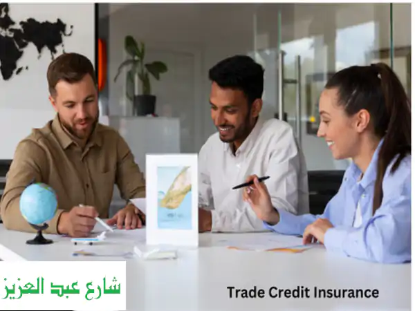 Reliable Trade Credit Insurance UAE  RiskFree Transactions