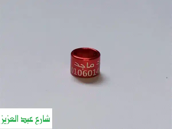 دبل حفر ليزر فاخرة لعصافيرك وبغبغانك - ضمان أمانهم! ?