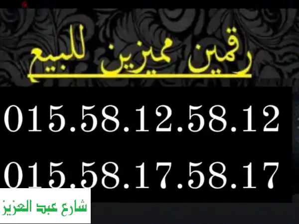 رقمين WE مميزين لرجال الأعمال - 12 قرش فقط! ?