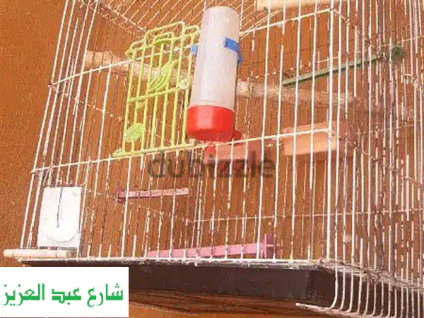 أقفاص كوكتيل للبيع بأسعار رائعة: قفص بعش (150) وآخر (100)...