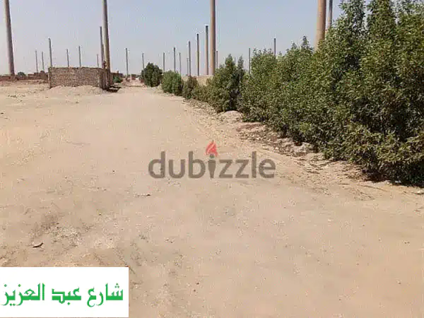 فرصة استثمارية ذهبية: مصنع طوب طفلي ضخم للبيع بالمنطقة الصناعية بعرب أبو ساعد، الجيزة – 13 فدان بمحول ميجا!