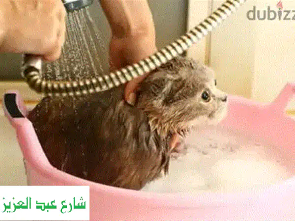 تجميل وعناية حيوانات أليفة بالإسكندرية | Critters Shop: دلال لرفيقك!