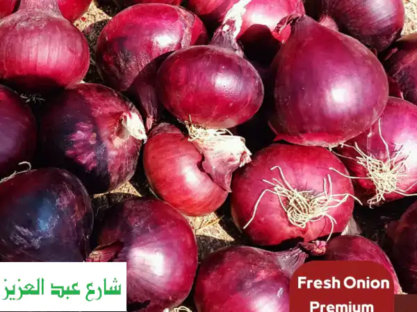 بصل أحمر طازج عالي الجودة للتصدير | شركة الشمس:...
