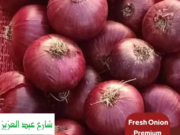بصل أحمر طازج عالي الجودة للتصدير | شركة الشمس: اختيارك الأمثل للغذاء والطعام