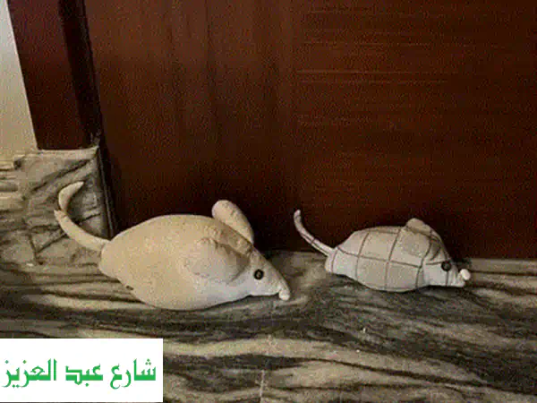 كلون باب الأهرام: أمان بيتك يبدأ هنا - شقق وغرف نوم - توصيل القاهرة والجيزة