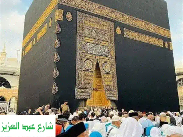 فرصة استثمارية كبرى: شريك مطلوب لتأسيس شركة سياحة...
