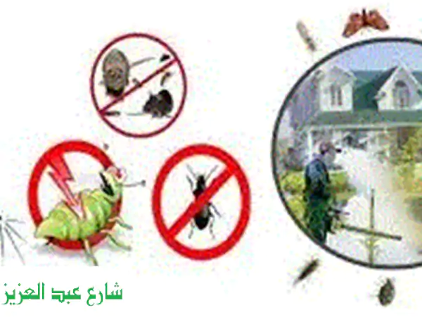 ممولون وشركاء جادون: استثمروا في نجاح مناقصات وخدمات الشركة العالمية الرائدة (مصر)