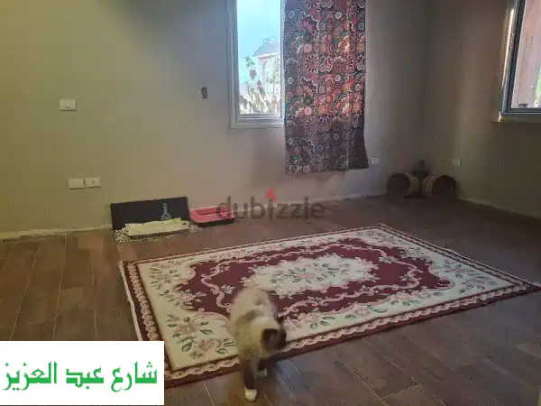 استضافة قطط بالمنزل: رعاية وحب بلا أقفاص! | فندقة...