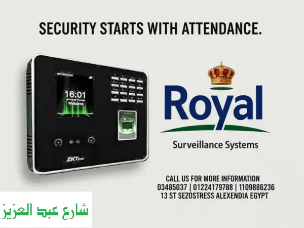 جهاز ZKTeco MB20 بالإسكندرية: حلول حضور وانصراف وأمان متكامل لشركتك