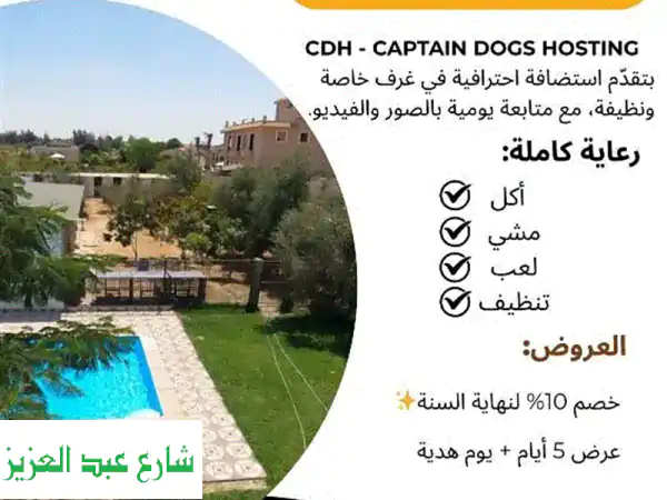 فندق استضافة كلاب CDH: رعاية أليفك الشاملة بحب وأمان...