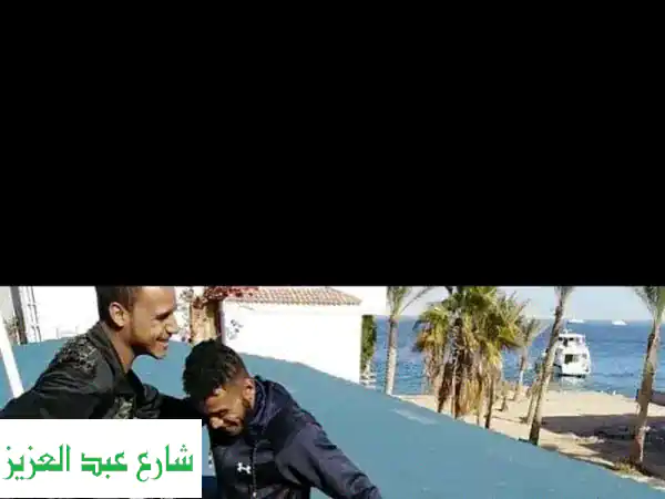 قرميد معدني بريق: سقف يعيش لعقود! جمال، متانة،...