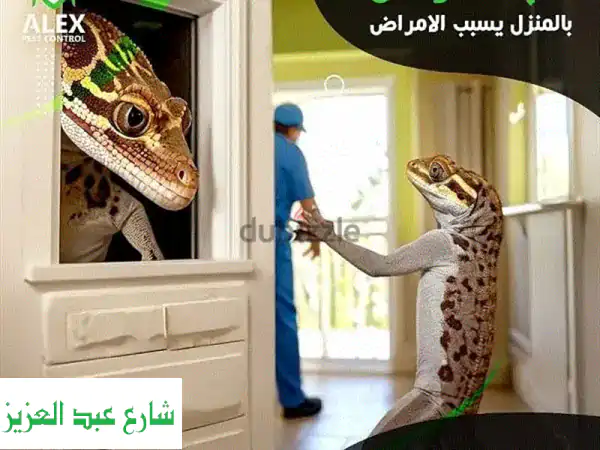 وداعاً للحشرات والقوارض! | Alex Pest Control: درع الأمان...