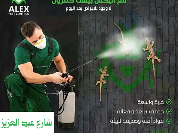 وداعاً للحشرات والقوارض! | Alex Pest Control: درع الأمان لمنزلك بتقنيات ألمانية آمنة (مكافحة حشرات وقوارض)