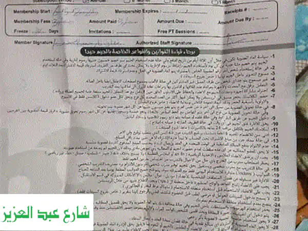 اشتراك ProPlus القطامية 11 شهر: خصم هائل وقابل للتحويل رسمي!