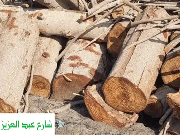 حطب طبيعي فاخر: دفء الشتاء وشواء لا يُنسى | حطب...