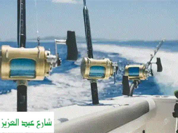 فرصة ذهبية: مالتي جيم جاجوار Jaguar 80 كجم شبه جديد | جيم منزلي متكامل بخصم هائل - حدائق أكتوبر!