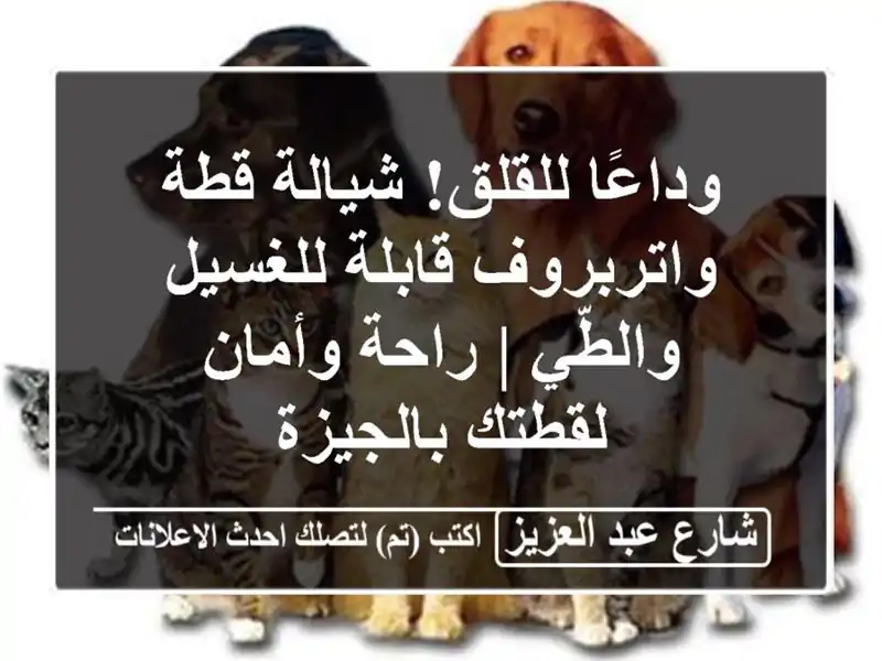 وداعًا للقلق! شيالة قطة واتربروف قابلة للغسيل والطّي...