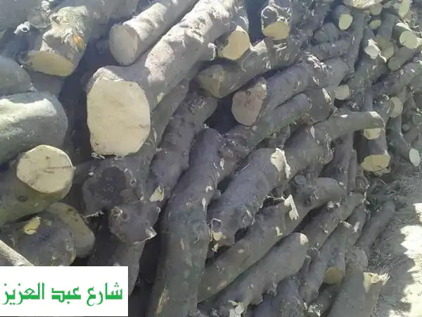 حطب زيتون فاخر للتصدير | جاف، صلب، ودخان أقل! |...