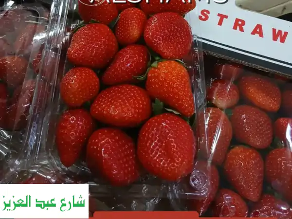 الشمس للمحاصيل الزراعية: جودة أوروبية مباشرة...