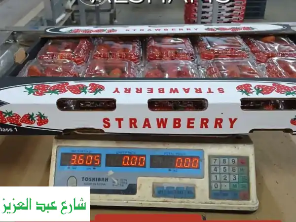 الشمس للمحاصيل الزراعية: جودة أوروبية مباشرة من مزارعنا - شريكك الموثوق للتصدير!