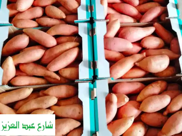 استورد أفضل بطاطا حلوة مصرية فاخرة | جودة استثنائية وتوصيل عالمي من شمس المحاصيل الزراعية