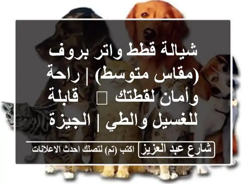 شيالة قطط واتر بروف (مقاس متوسط) | راحة وأمان لقطتك 🐾...