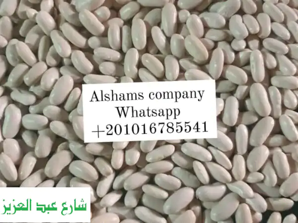 فاصوليا بيضاء فاخرة جاهزة للتصدير | جودة استثنائية لأسواقكم العالمية!