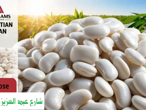 فاصوليا بيضاء فاخرة جاهزة للتصدير | جودة...