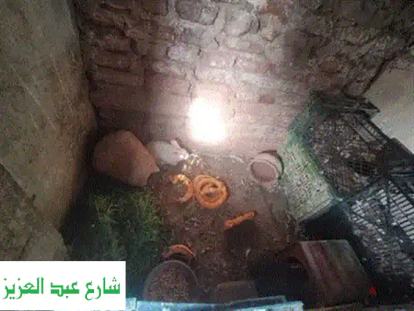 فرصة ذهبية: أرنبة ركس أنثى بكرية عشار (أول تلقيح 26 نوفمبر) جاهزة للإنتاج!