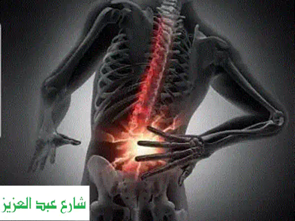 💪 احصل على جسم مثالي ودفاع عن النفس! 💪 مدرب...