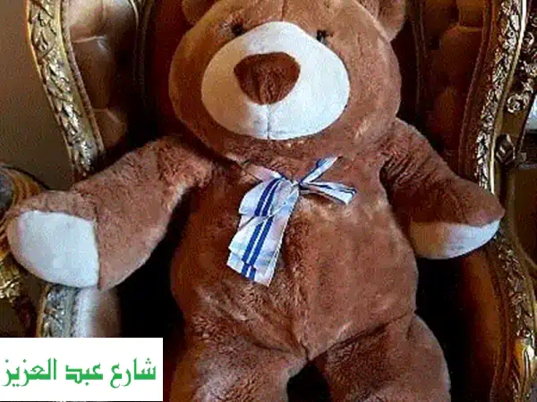 دبدوب بني عملاق 🧸❤️  - حالة ممتازة! هدية...