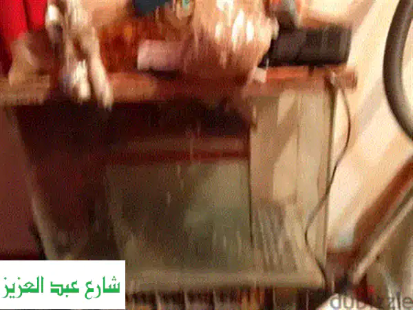 حوض سمك جديد للبيع! ✨ منزل أحلام سمكتك ينتظرك