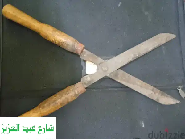 مقص أشجار حديقتك -  حاد، قوي، وعملية سهلة! (عرض خاص)