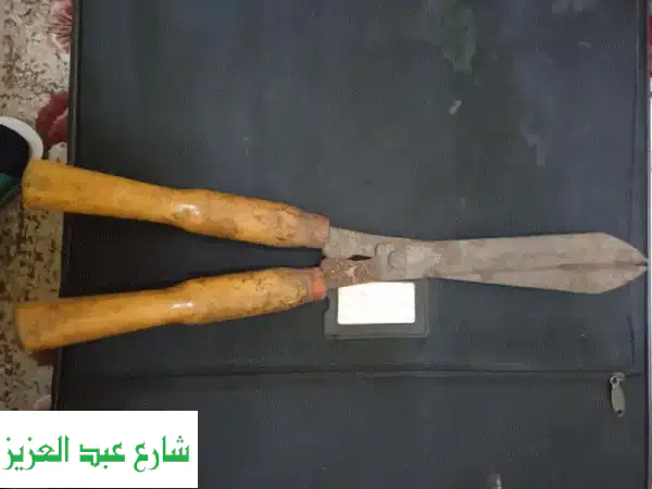 مقص أشجار حديقتك -  حاد، قوي، وعملية سهلة! (عرض خاص)