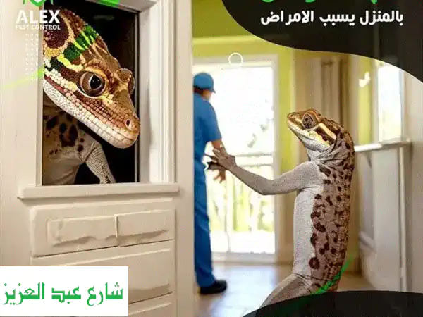 مكافحة حشرات وقوارض الرحاب: حلول آمنة وفعالة 100%  (ضمان عدم العودة!)