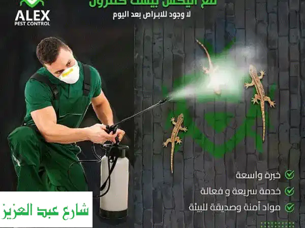 مكافحة حشرات الشروق: القضاء النهائي على الحشرات...