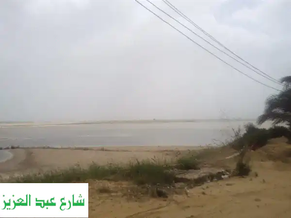 فرصة استثمارية ذهبية: أرض 14500 متر على بحيرة قارون...
