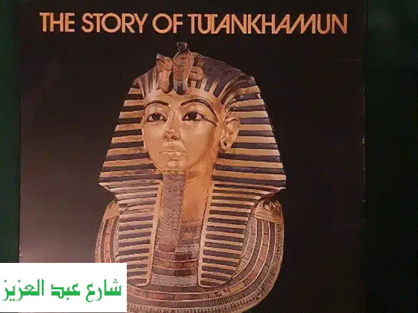 استمتع بسحر مصر القديمة! أسطوانة فينيل توت عنخ...