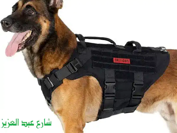 تحكم بكل سهولة في كلبك مع صديري OneTigris القابل للتعديل...
