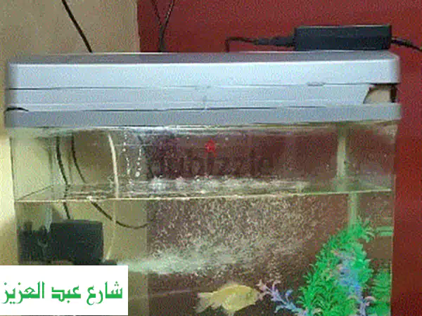 حوض سمك مستورد كالجديد! (شهر ونصف استخدام فقط)