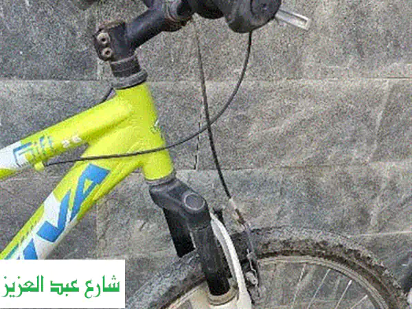 دراجة VIVA 2.0 بحالة ممتازة - مثالية للكبار! (مقاس 26)