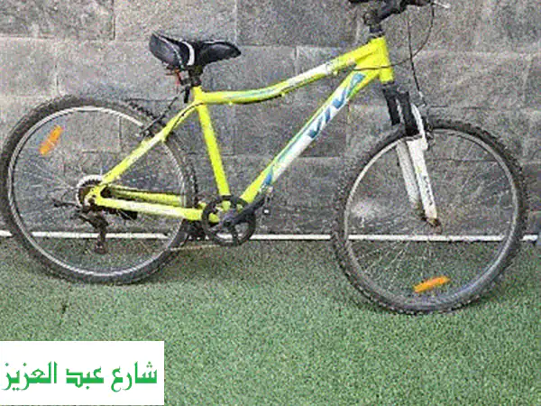 دراجة VIVA 2.0 بحالة ممتازة - مثالية للكبار! (مقاس 26)