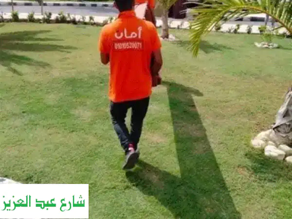 نقل عفشك بأمان مع بي أمان: شحن أثاث وبضائع في...