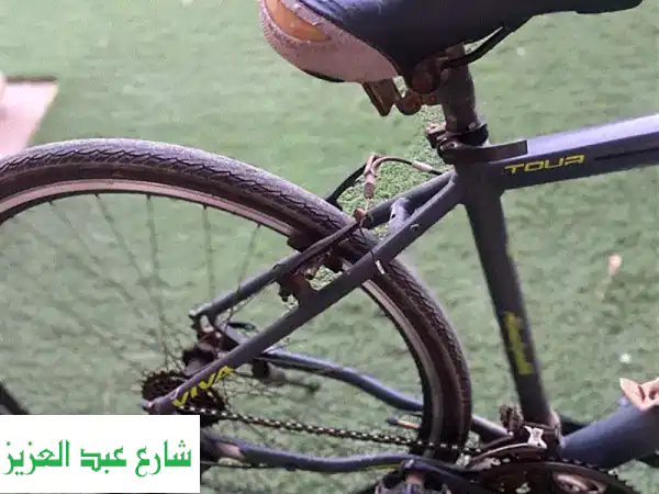 عجلة هوائية بحالة ممتازة - مقاس كبير، سرعتين، وحامل مياه!