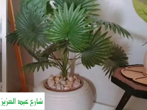 بوت زراعة ديكور بالظلط: حديقتك الخضراء في أشهر! 🌱