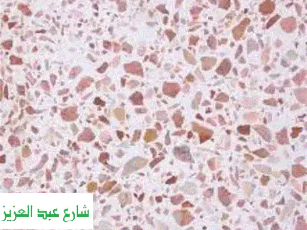 بلاط موزايكو أحمر سلطاني فاخر - فرصة ذهبية! 27 مترًا فقط!
